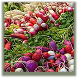 Radishes and Tubers